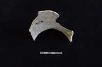 陶罐藏品圖，第2張